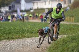 Weinfelden 2024