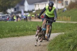 Weinfelden 2024