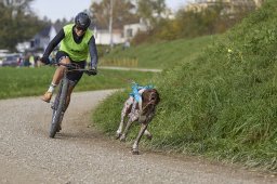 Weinfelden 2024