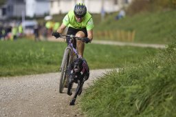 Weinfelden 2024