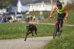 Weinfelden 2024