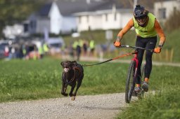 Weinfelden 2024