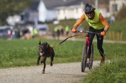 Weinfelden 2024