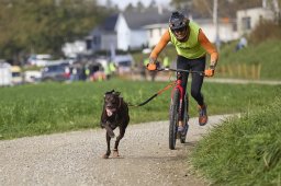 Weinfelden 2024
