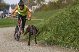 Weinfelden 2024