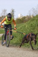 Weinfelden 2024