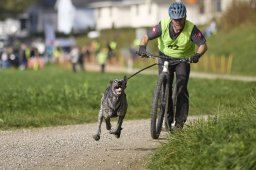 Weinfelden 2024