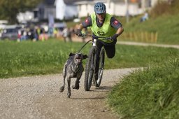Weinfelden 2024