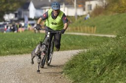 Weinfelden 2024