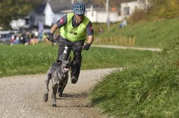 Weinfelden 2024