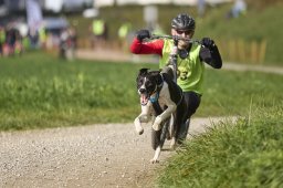 Weinfelden 2024