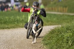 Weinfelden 2024