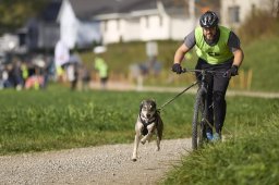Weinfelden 2024