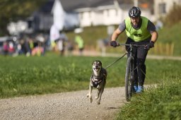 Weinfelden 2024
