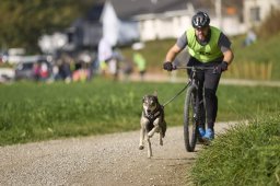 Weinfelden 2024
