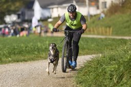 Weinfelden 2024