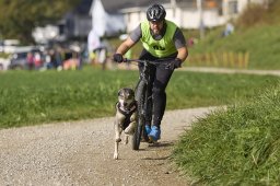 Weinfelden 2024