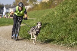 Weinfelden 2024