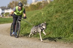 Weinfelden 2024
