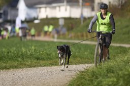 Weinfelden 2024