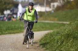 Weinfelden 2024