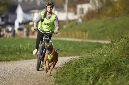 Weinfelden 2024
