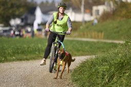 Weinfelden 2024