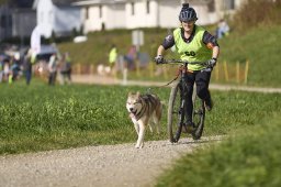 Weinfelden 2024