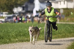 Weinfelden 2024