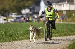 Weinfelden 2024