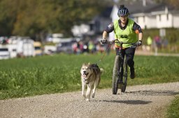 Weinfelden 2024