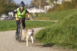 Weinfelden 2024