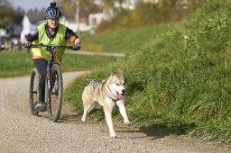 Weinfelden 2024