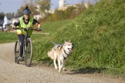 Weinfelden 2024