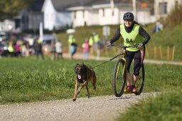 Weinfelden 2024