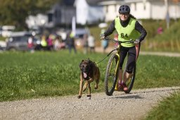 Weinfelden 2024