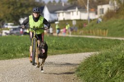 Weinfelden 2024