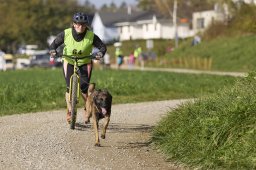 Weinfelden 2024