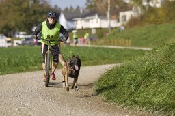 Weinfelden 2024