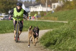 Weinfelden 2024