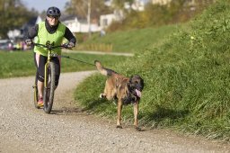 Weinfelden 2024