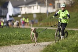 Weinfelden 2024
