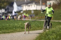 Weinfelden 2024