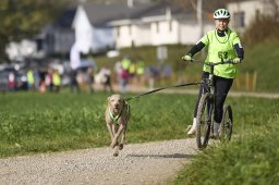 Weinfelden 2024