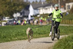 Weinfelden 2024
