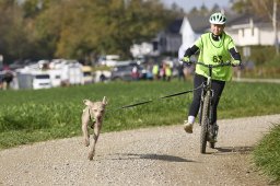 Weinfelden 2024
