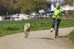 Weinfelden 2024