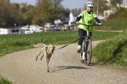 Weinfelden 2024