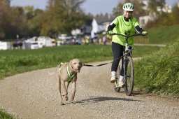 Weinfelden 2024