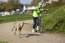 Weinfelden 2024